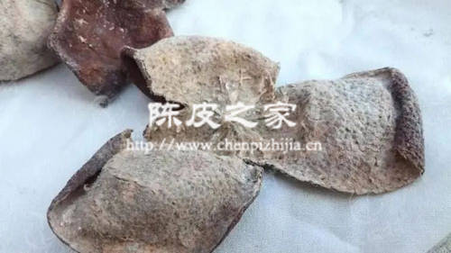 长毛的陈皮还可以用吗