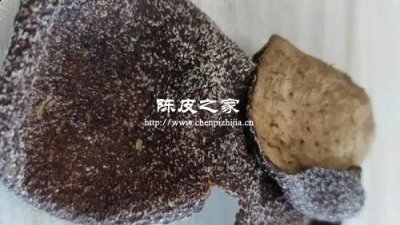 陈皮发霉了还能泡水喝吗