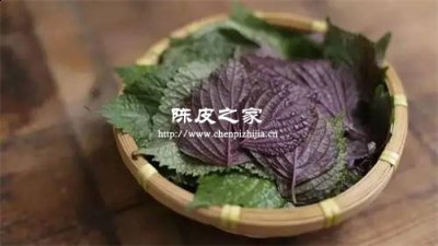 紫苏艾叶治疗咳嗽要加点姜片吗