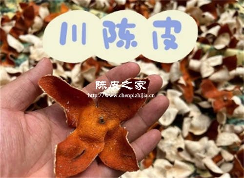 川陈皮和广陈皮哪个药效好