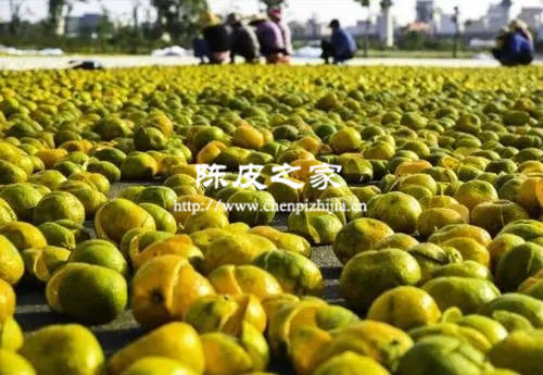 3年陈化的陈皮丝可以泡茶吗