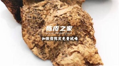 新会陈皮为什么会生虫