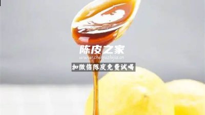 冰糖陈皮柠檬膏有哪些功效与作用