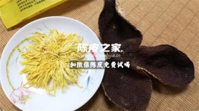 陈皮和胎菊泡在一起好不好